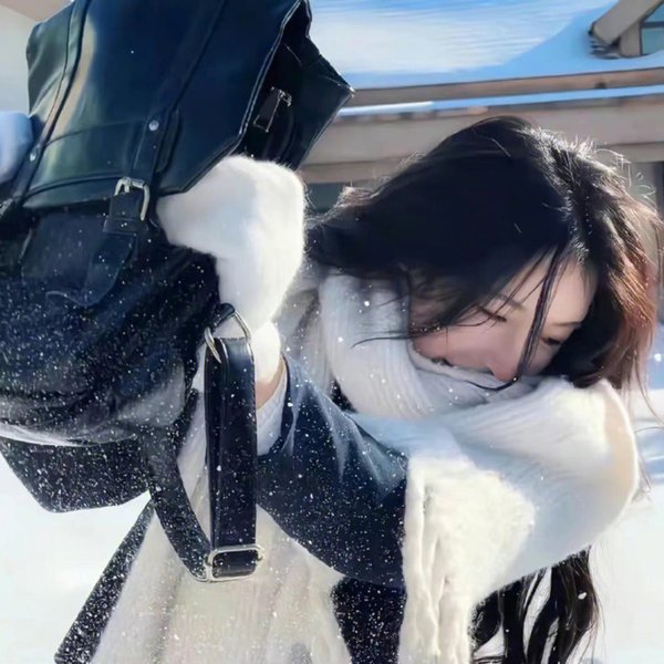 沙漠生存者：阿拉伯狼